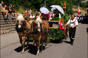 Tradition & Brauchtum